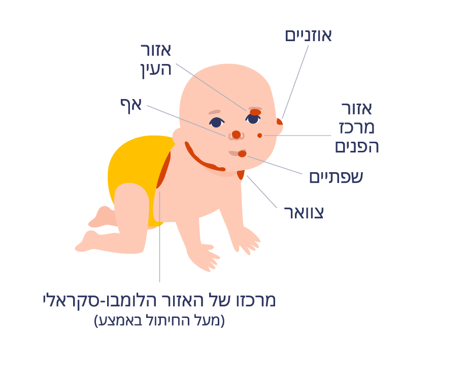 סימולציה1